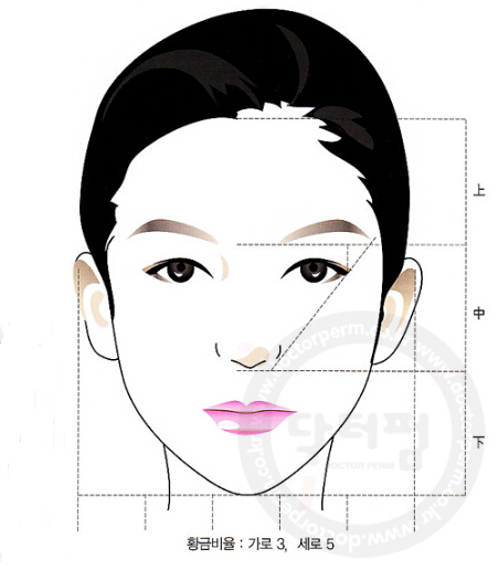 韩式半永久化妆设计基础脸部黄金分割法